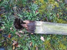 Foto: Duchgefaulte Begrenzungspfähle 